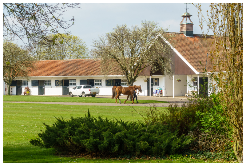 Newmarket National Stud April